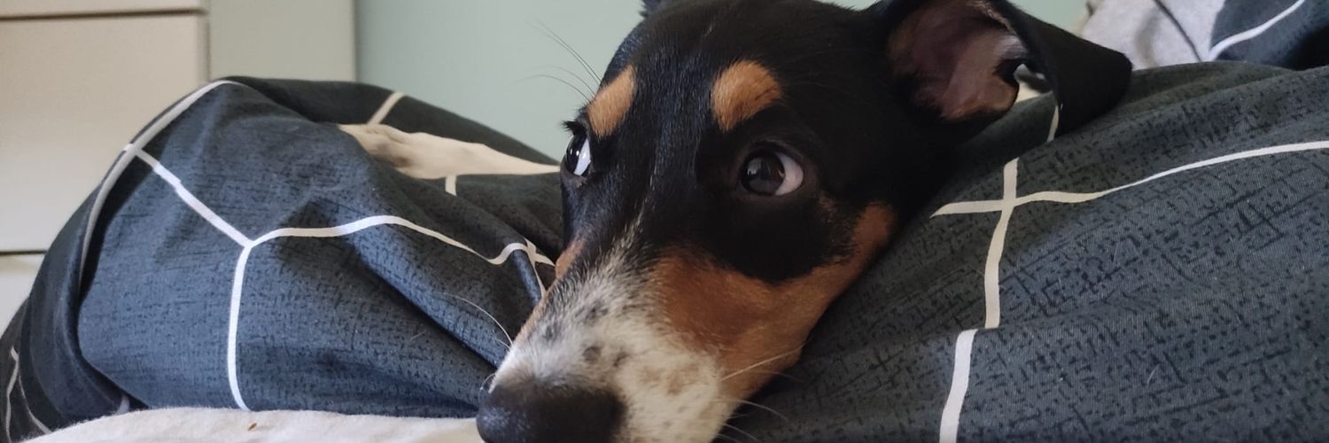 Jpozeras's profile banner image