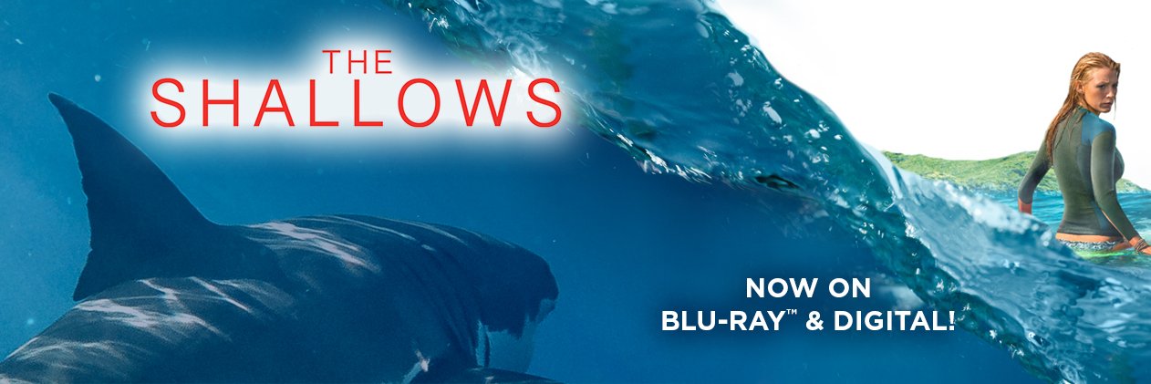 ShallowsMovie's profile banner image
