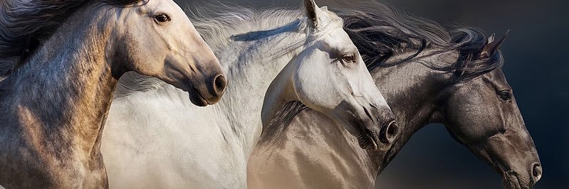 skr7bk's profile banner image