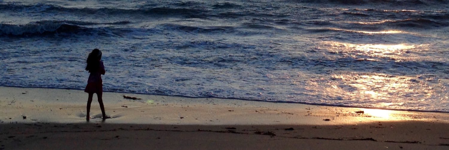 Retrogina 🕊️ banner