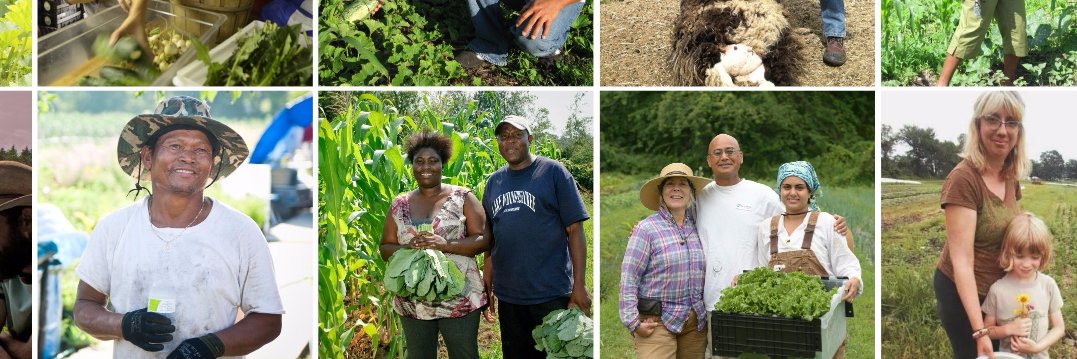 New Entry (NESFP) banner