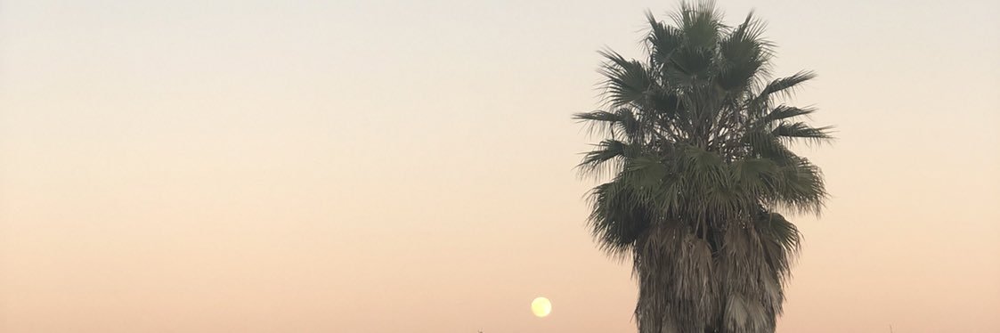 TheRealZWebb's profile banner image