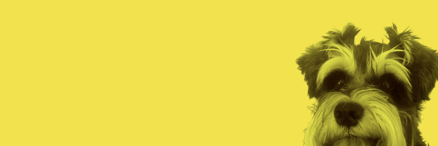 karenstrutt's profile banner image