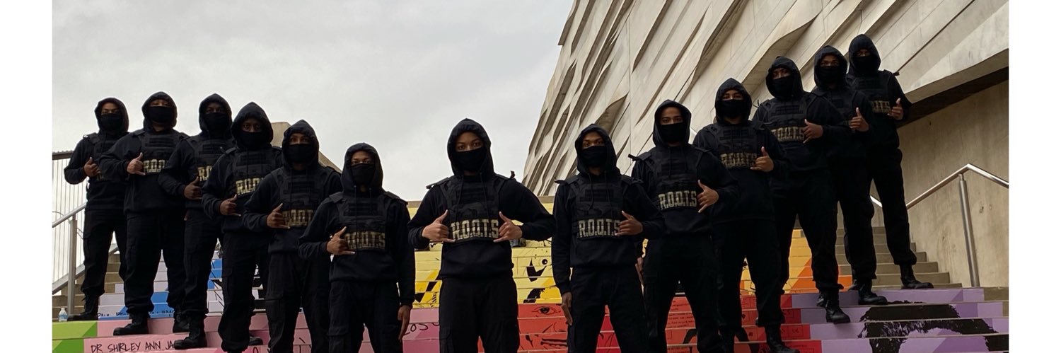 UT-Arlington Alphas banner