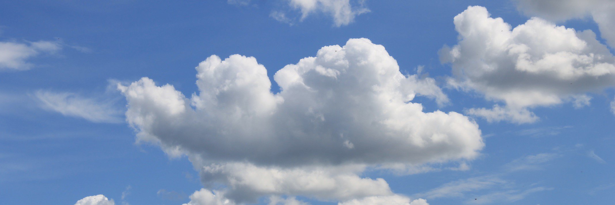 Loodle5's profile banner image