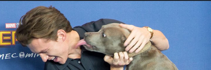 🌸CarØl!nə🌸 banner