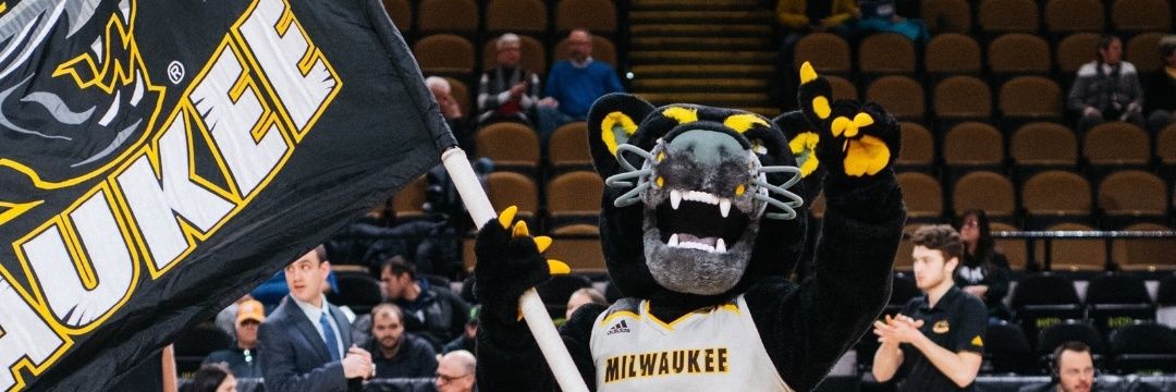 PouncePanther's profile banner image