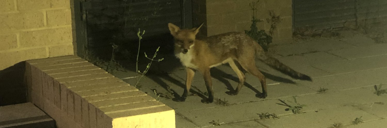 Laima Helena Vanaga banner