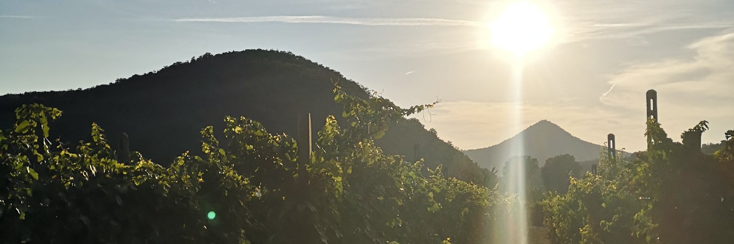 Giulia Vettore banner