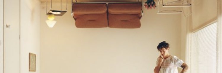 _stylesdimples_'s profile banner image