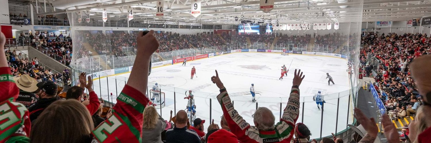 Cardiff Devils banner