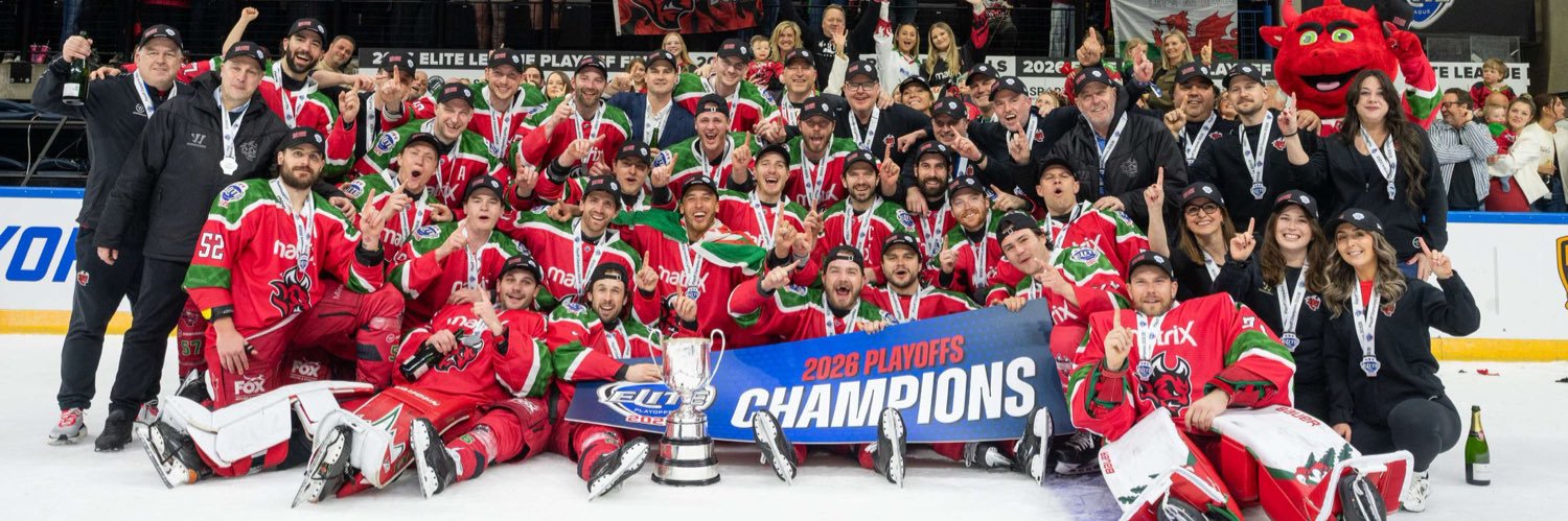 Cardiff Devils banner