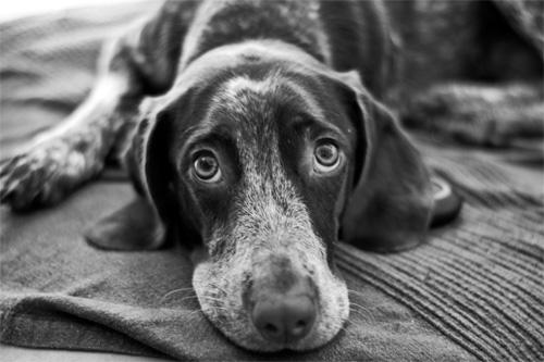 Official account banner