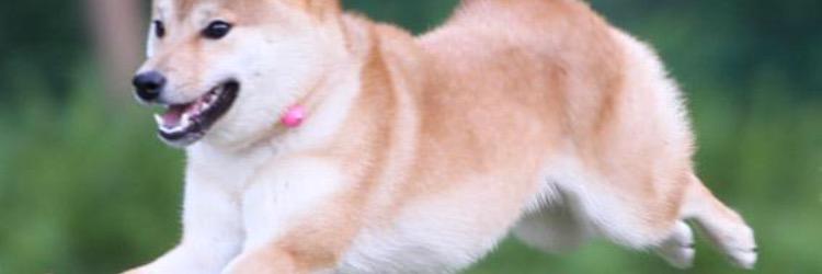 Punchable_Face_'s profile banner image