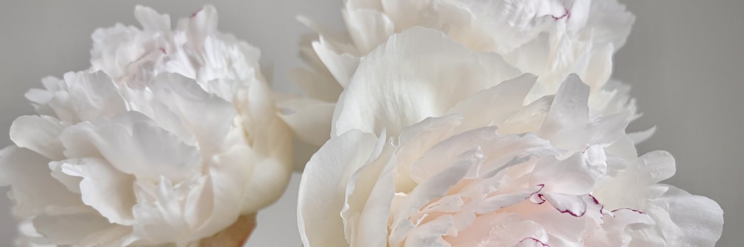 dvoretskyi's profile banner image