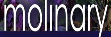 robertmolinary's profile banner image