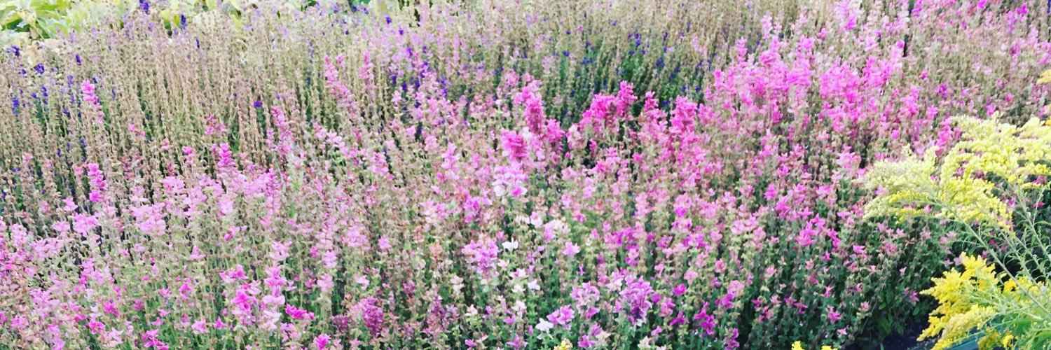 Frédérique Brun banner