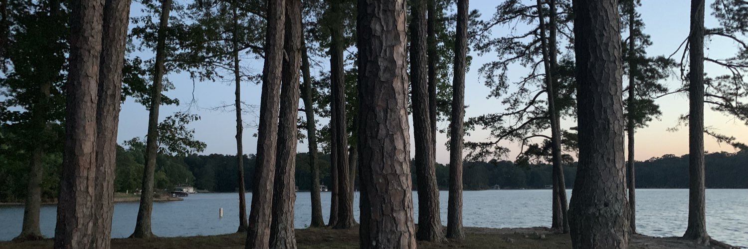 AnnaKSamsel's profile banner image