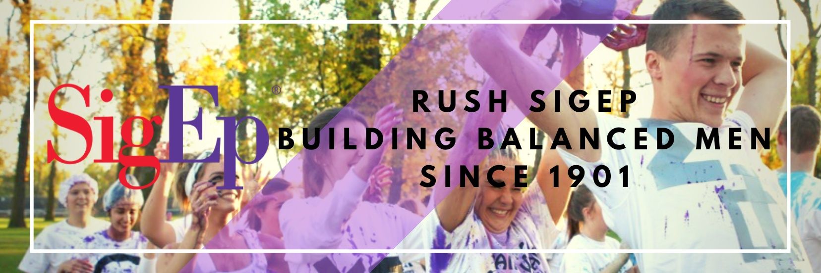 SigEpSDstate's profile banner image