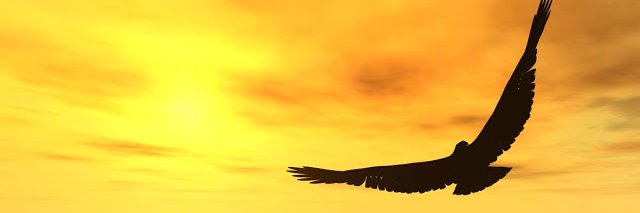 MSUG_MK's profile banner image