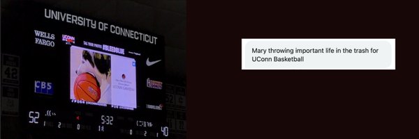 MarieLizLeBrun Profile Banner