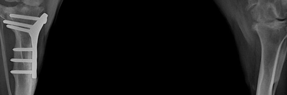 adamblazer's profile banner image