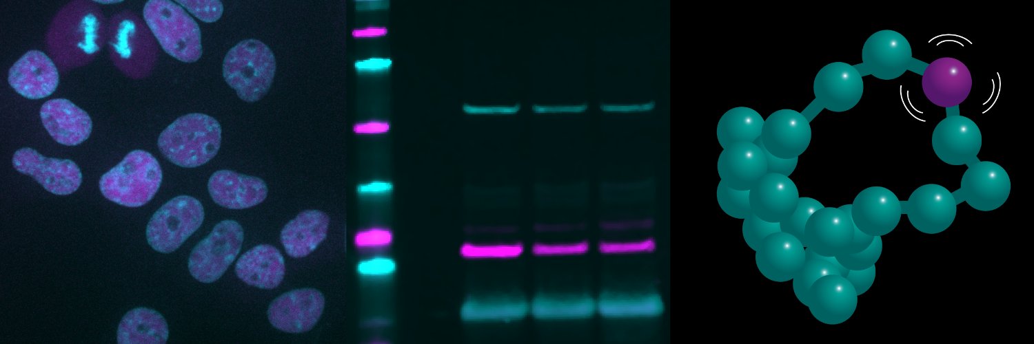 AndrewSeeber's profile banner image