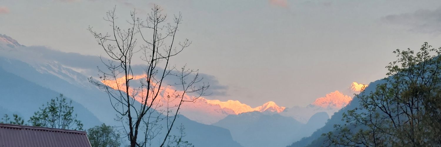 Shiladitya Banerjee's banner