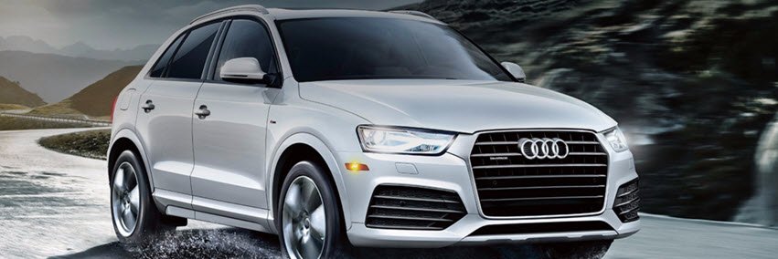 Biener Audi banner