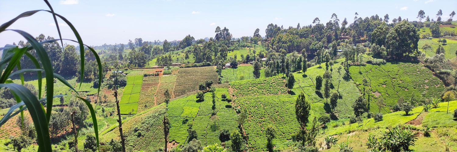 Simon Wa Kahari banner