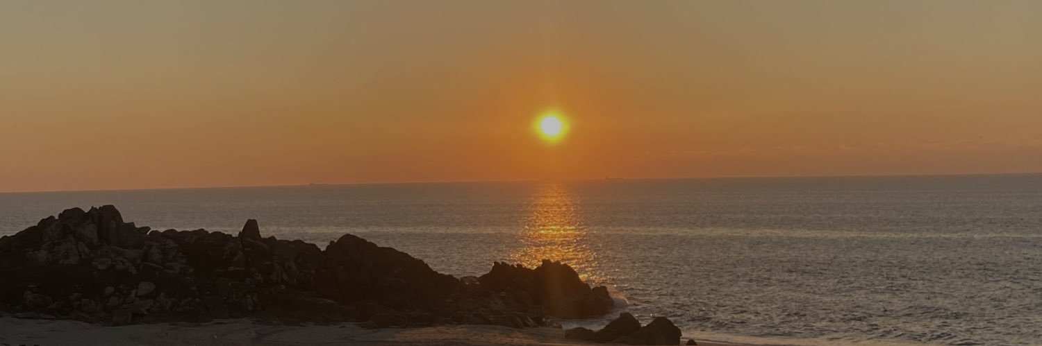flaviafigrod's profile banner image