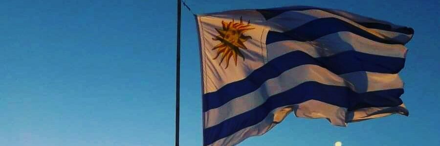 Ítalo Cantera Rocha banner