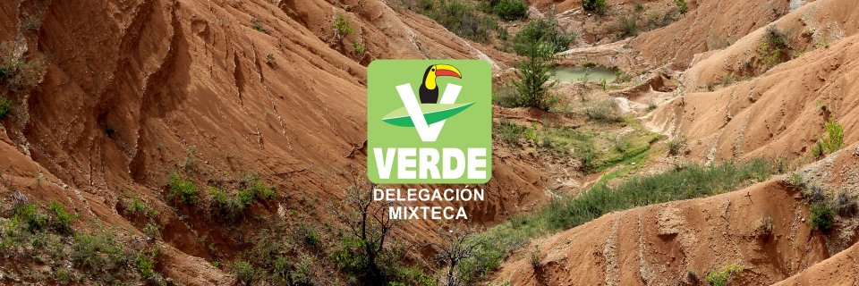 PVEM_Mixteca's profile banner image