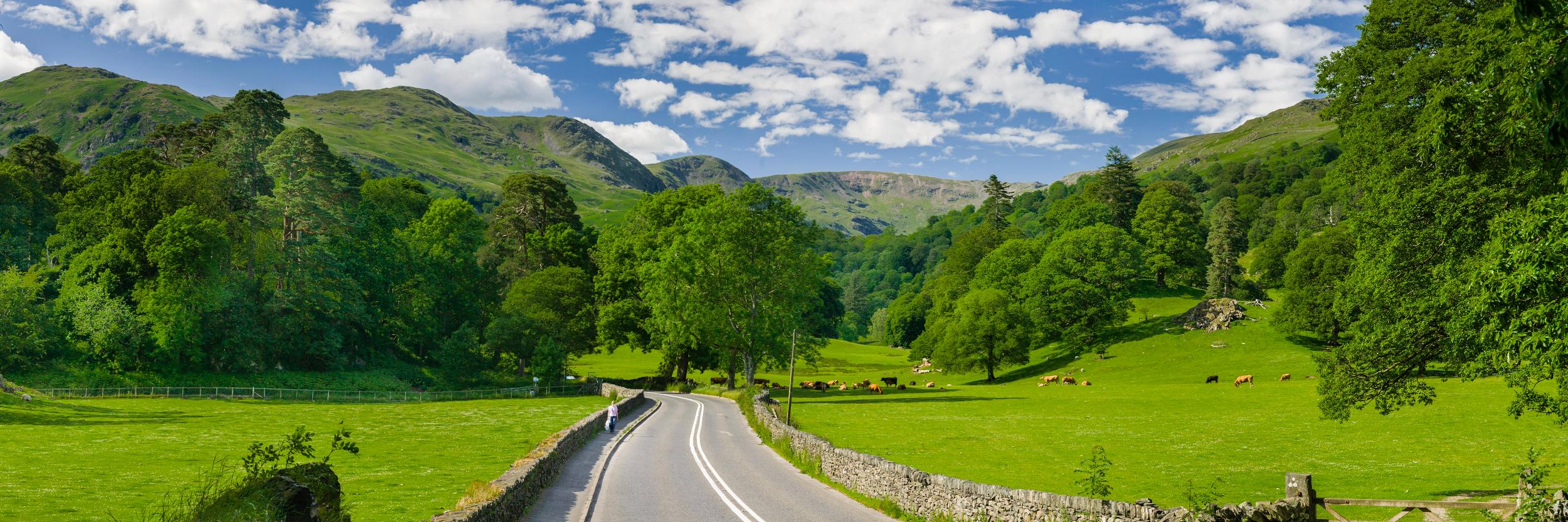 Clean for The Queen banner