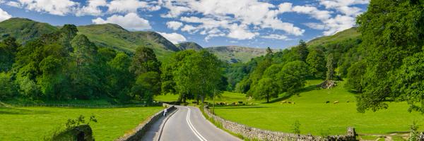 cleanforqueen Profile Banner