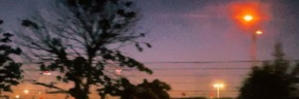avas_bruce's profile banner image