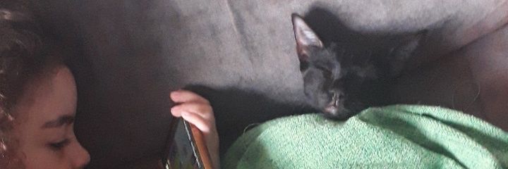 amanda2m's profile banner image