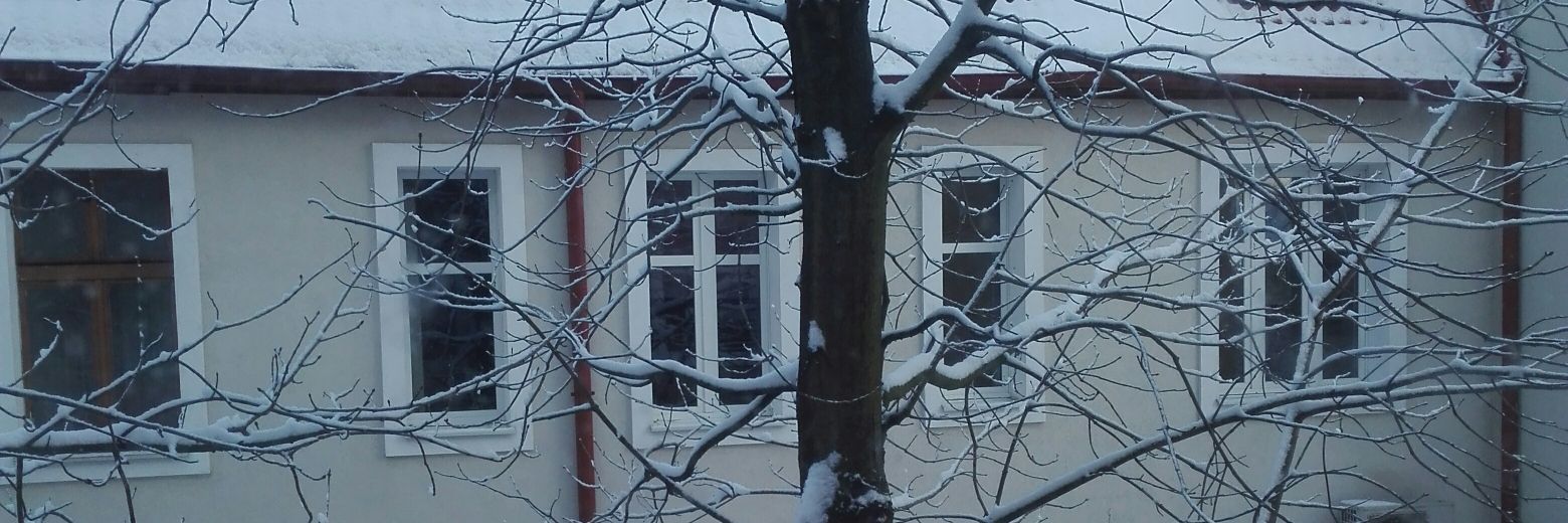 XiscoC8's profile banner image