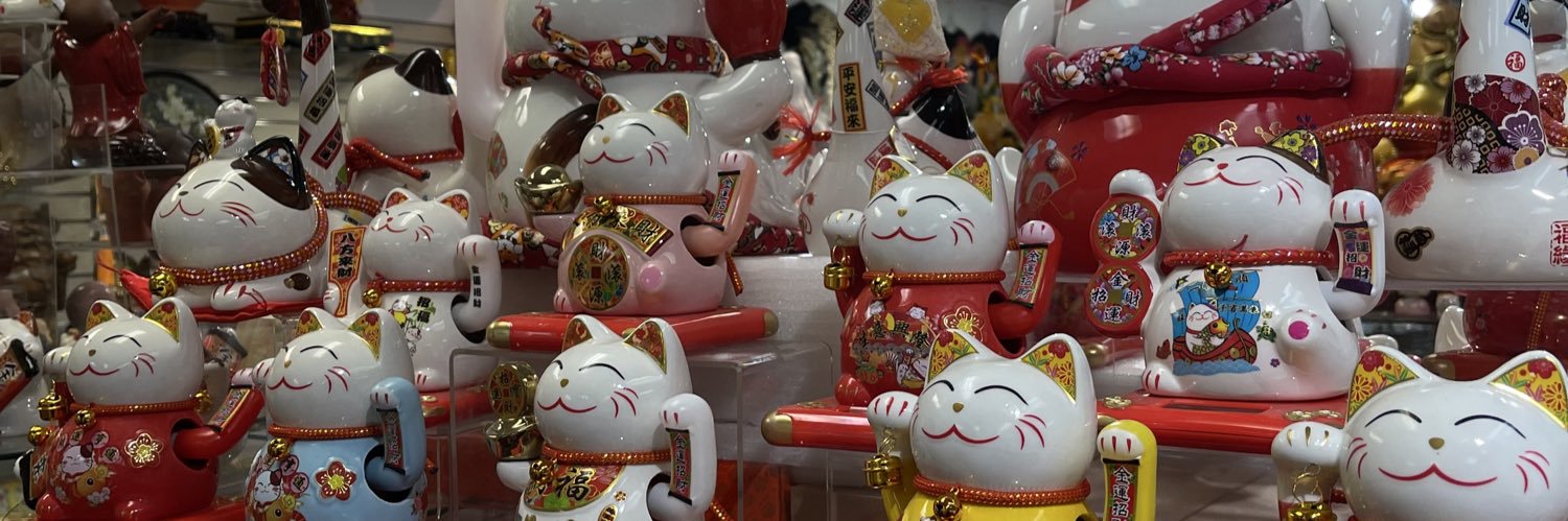 ⋆⁺₊cyn⁺₊⋆ banner