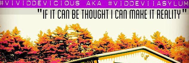 VIDDEVIIASYLUM's profile banner image