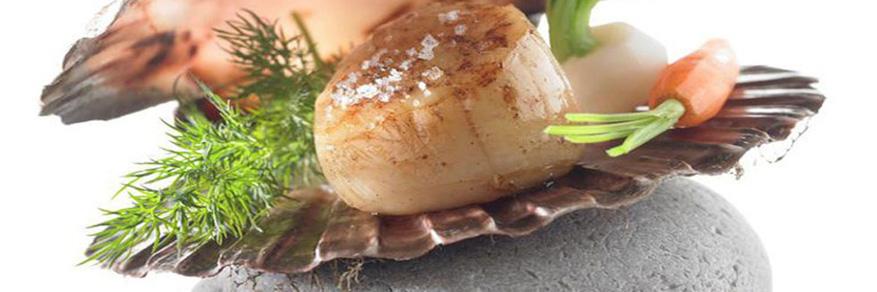 Chef_DRodriguez's profile banner image
