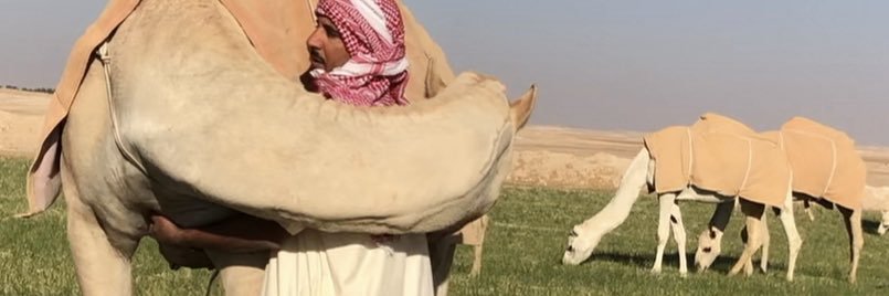 منوّخ العتيبي banner