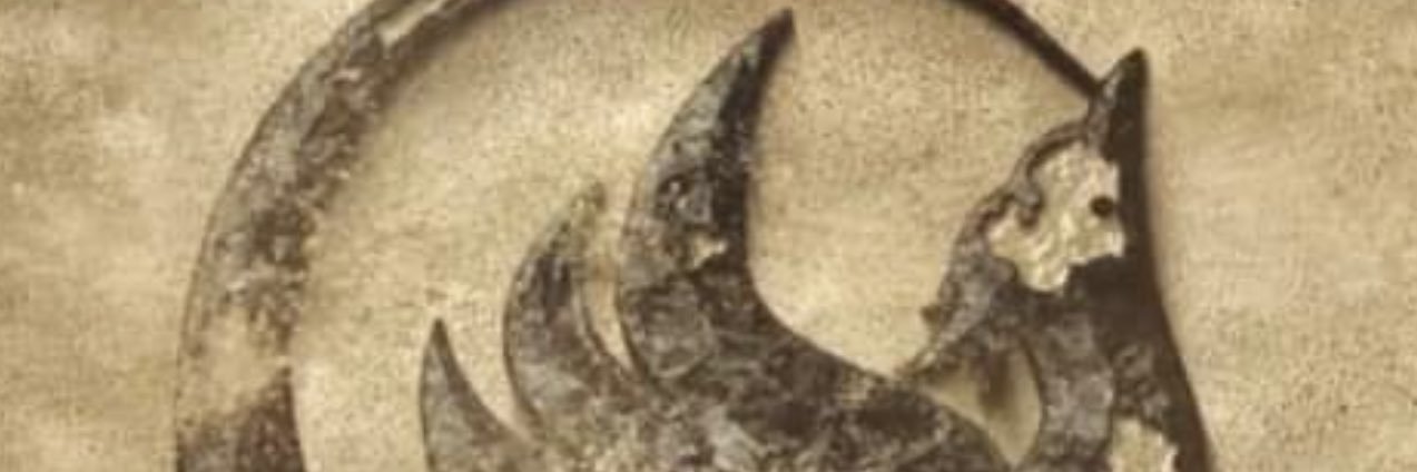 aperson411's profile banner image