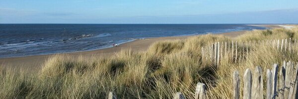 Aron_316 Profile Banner