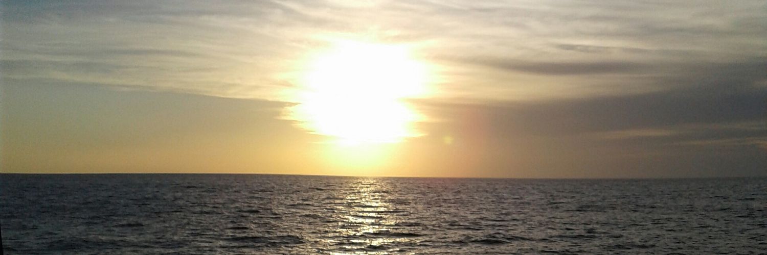 emjimini's profile banner image