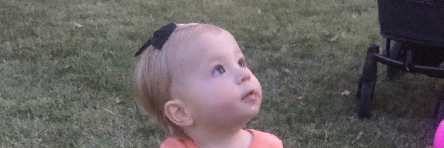 Michael Kinney banner