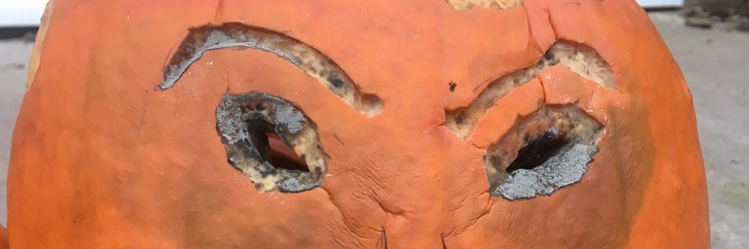 Simon Seligman banner