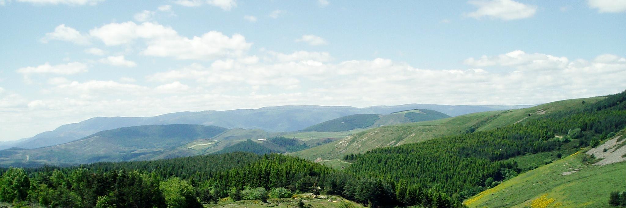 Raymond Sheehy banner