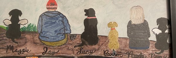 nualaj Profile Banner