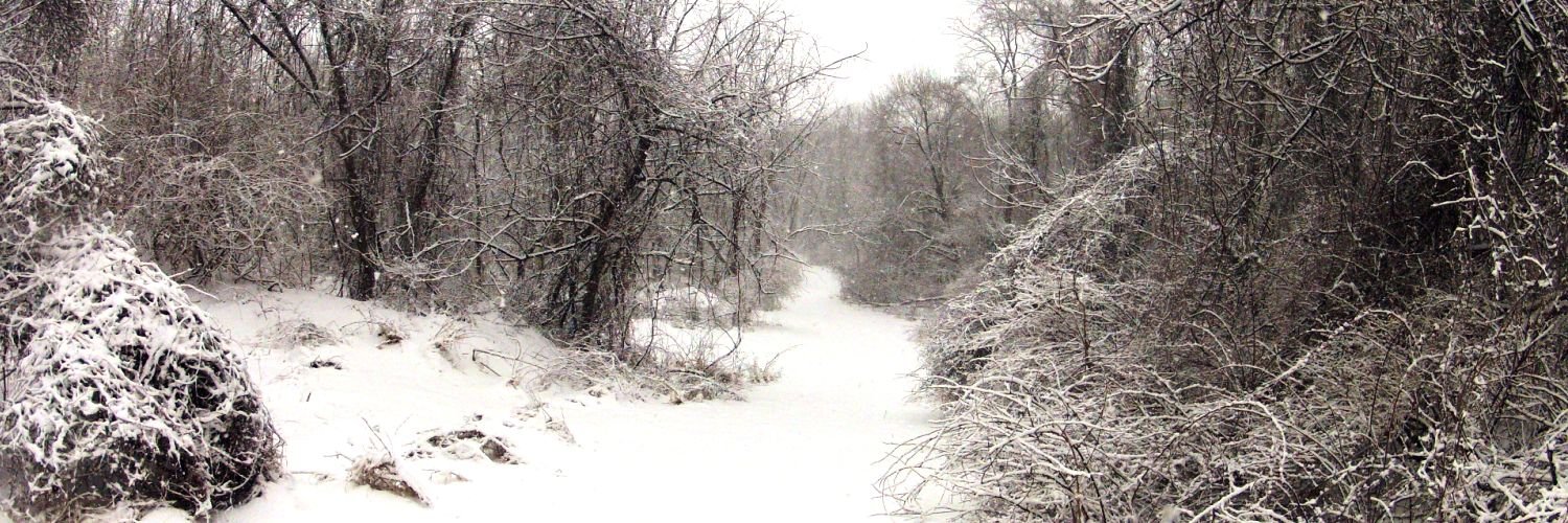 FECnews's profile banner image